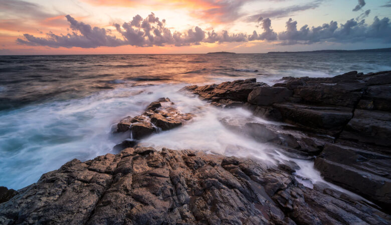 Rewiring the Mind: Why Alpha Reset Is Essential for High Performers Seeking Clarity and Inner Stability